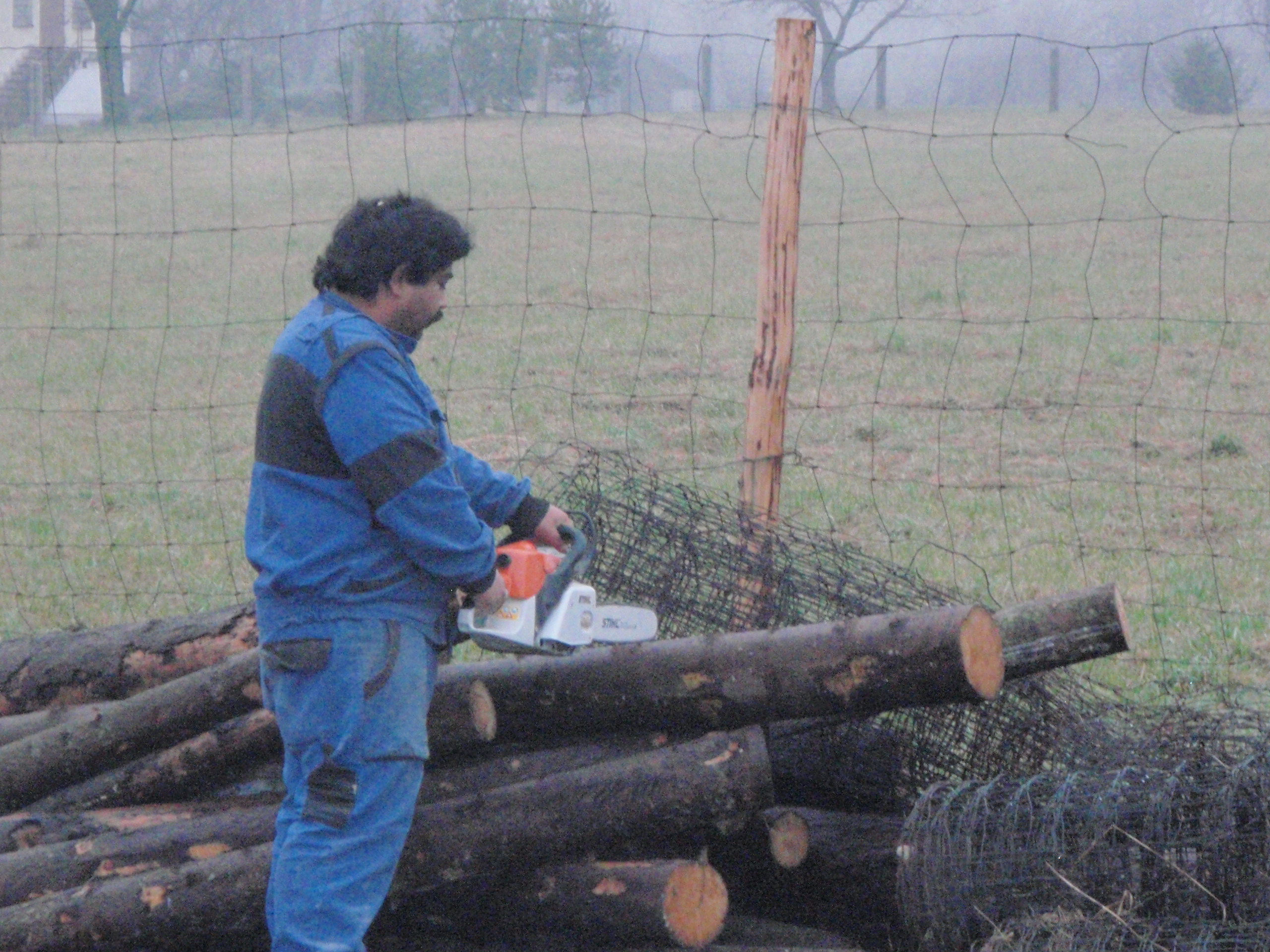 Dřevovýroba jako forma sociálního podnikání 